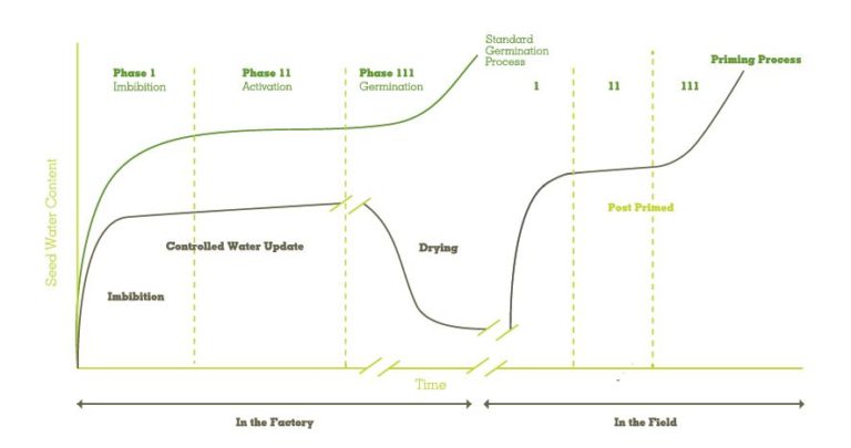 What Is Seed Priming Germains Seed Technology