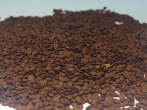 Seed Treated with Biological Film Coating | T-22 Approved for Export to Mexico