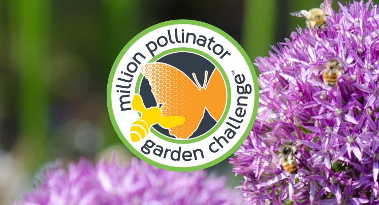 ASTA Million Pollinator Garden Challenge