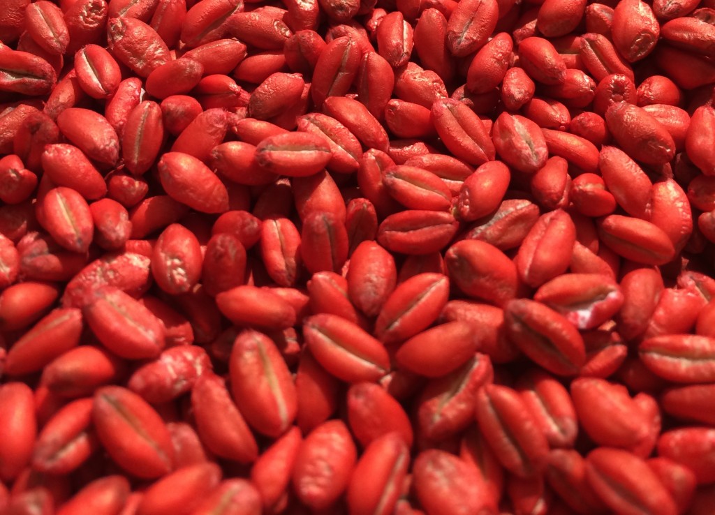Seed Coating Polymers