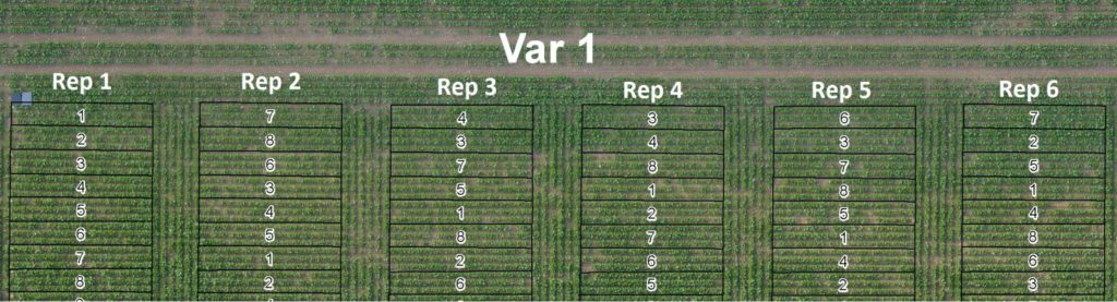 trials for testing new seed treatments