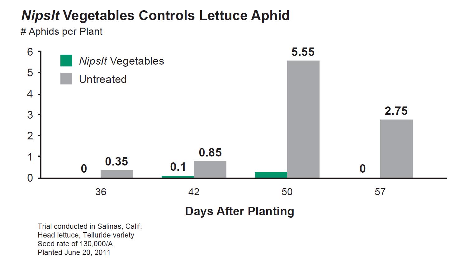 Protect Lettuce Crops from Aphids and Leaf Miners with Nipsit 