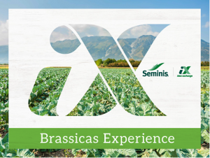 Seminis Brassicas Idea Exchange Event 