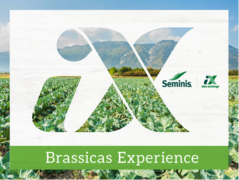 Seminis Brassicas Ideas Exchange Event