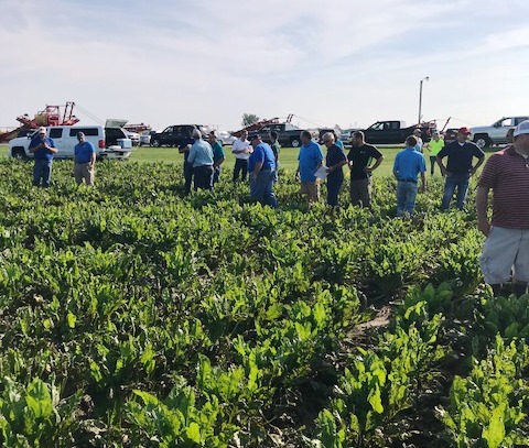 Official Sugarbeet Variety Tour