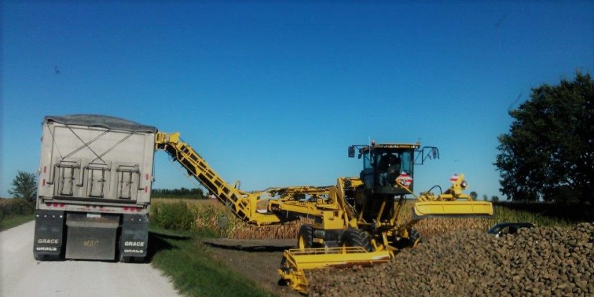 Field Loader and Sugarbeet Cleaner