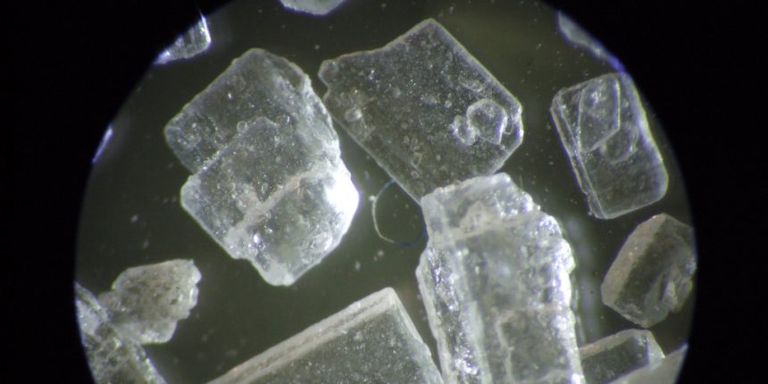 Sugarbeet sugar crystals