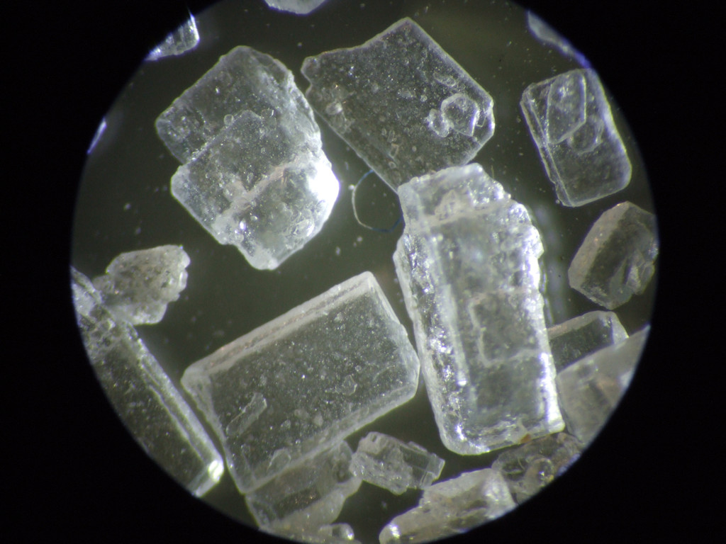 Sugarbeet sugar crystals